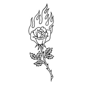 Flaming Rose